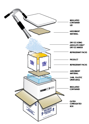 Cold Packs and Dry Ice Packaging Diagram